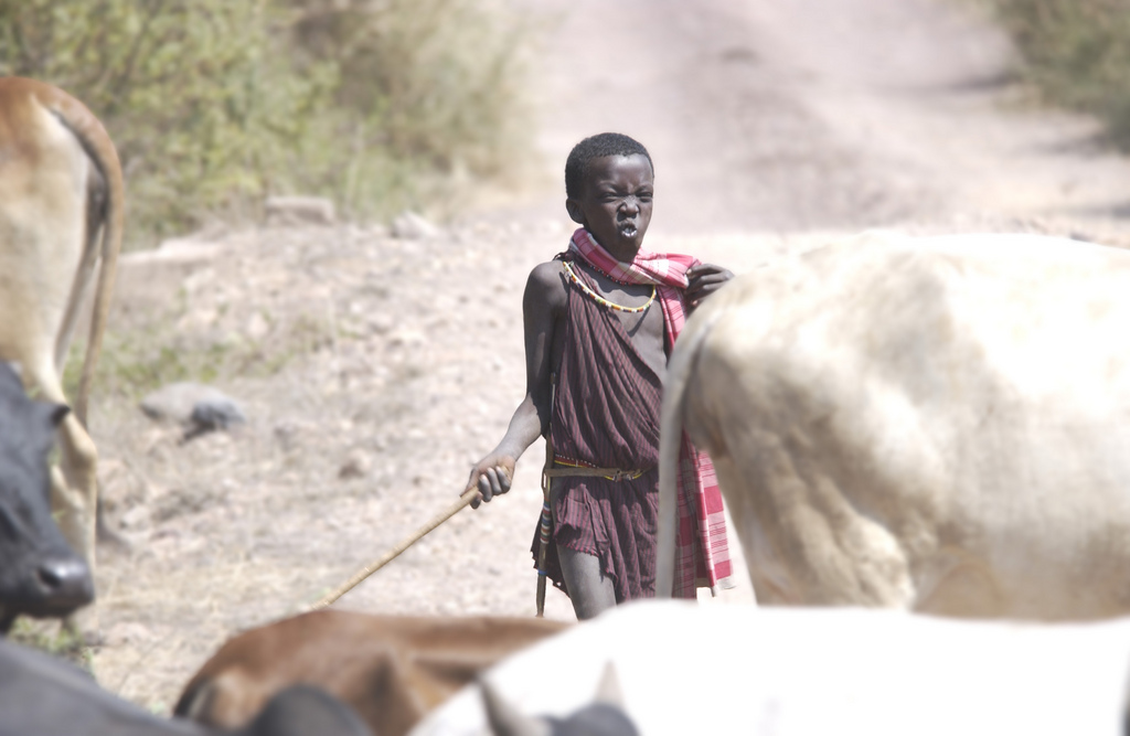 Young herder in Africa. Credit: Justin Jensen