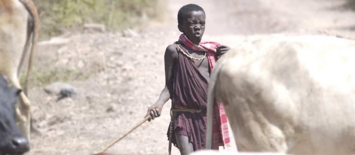Young herder in Africa. Credit: Justin Jensen