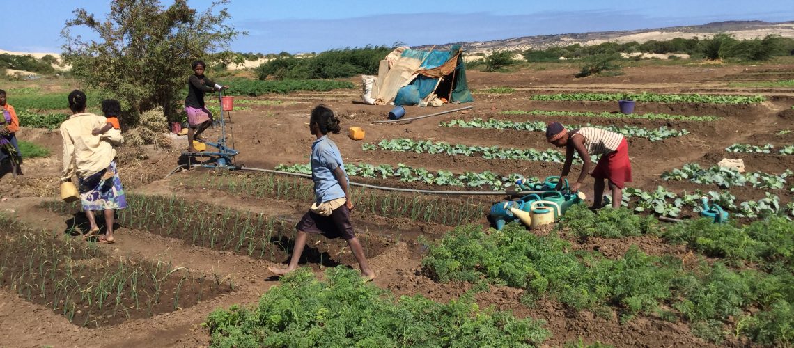 madagascar.women